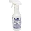 Sanizide Plus Environmental Surface Germicidal Solution 1 ea.
